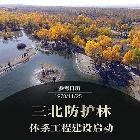 中国的绿色长城-三北防护林_新闻中心_中国碳汇林