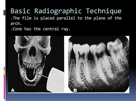 Image result for Slob Writing Examples