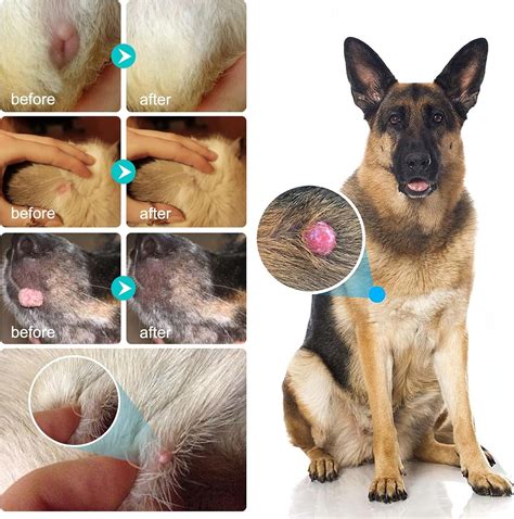 Tioueo Dog Skin Tag Remover Cleaner Dog Wart Remover - Effective & Safe ...