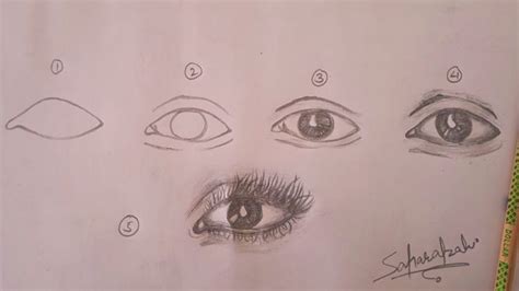 Image result for Sketch Tutorial Step by Step