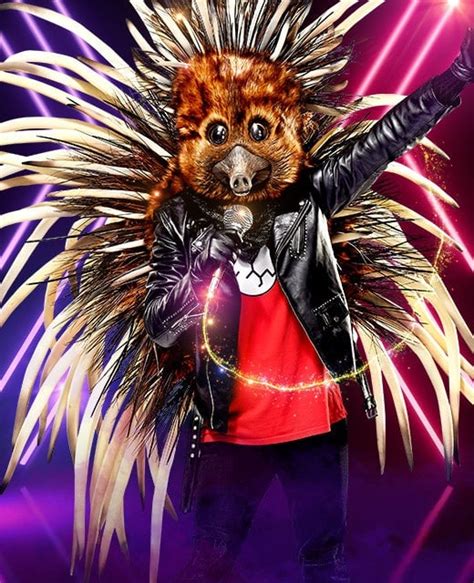 Image result for Masked Singer Australia Walk-In