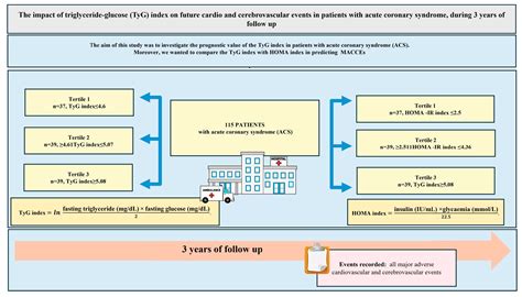The Impact of Triglyceride-Glucose (TyG) Index on Future Cardio and ...
