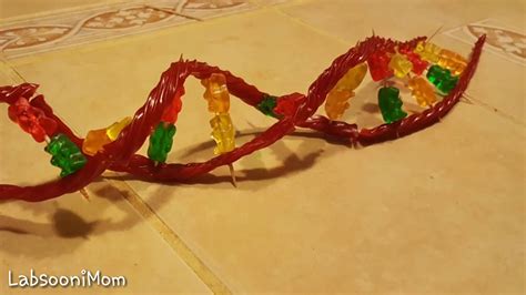 Making DNA Models 的图像结果