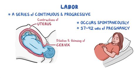 Nursing Care of the Family During Labor and Birth - Osmosis Video Library