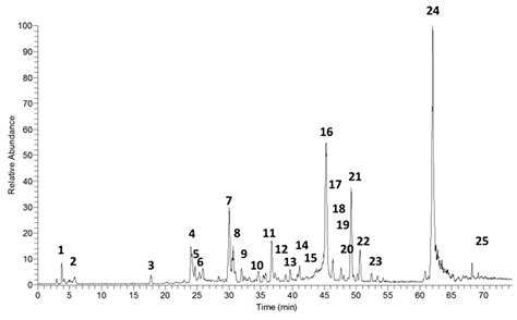 Effects of Extract of Arrabidaea chica Verlot on an Experimental Model ...