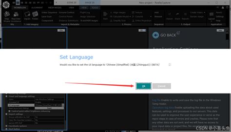 RealityCapture Tutorial 的图像结果