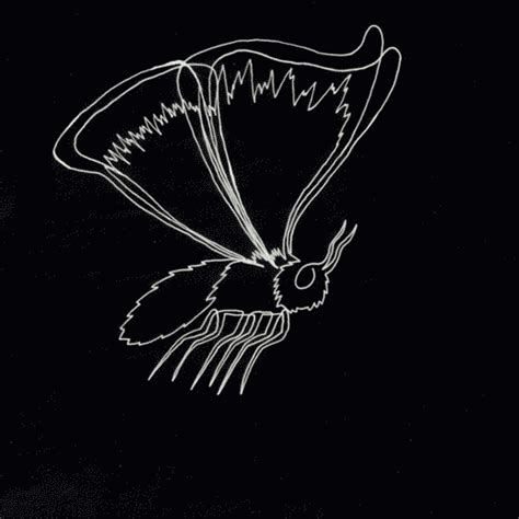 Image result for Pixel Animation GIF Moth