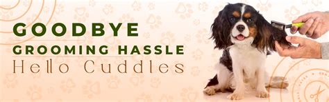 Best Pet Grooming Service in Kolkata | Pet Spa & Grooming at Home ...