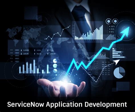 ServiceNow Development 的图像结果