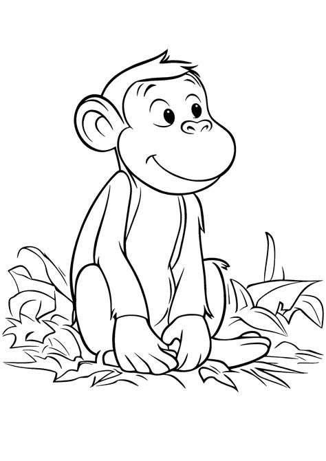 No Noggin Curious George