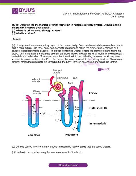 Class 10 Bio Chapter 1 的图像结果