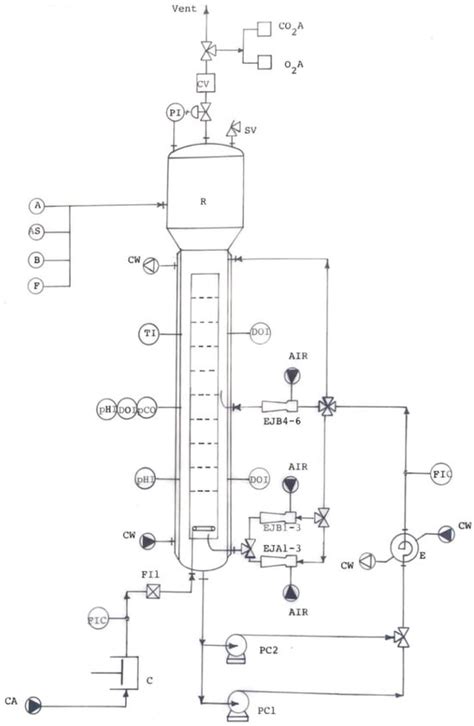 Design and Operation of a Multifunctional Pilot-Scale Bioreactor for ...