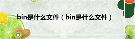 bin是什么文件夹可以删除吗？bin文件能删吗？-纯净之家