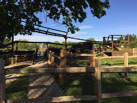 Lovely Christmas attraction - Reviews, Photos - Tulleys Farm - Tripadvisor