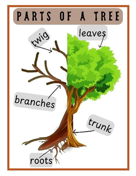 Image result for Tree Structure HTML/CSS