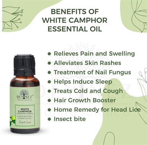 Devinez White Camphor Essential Oil, 100% Pure, Natural & Undiluted ...