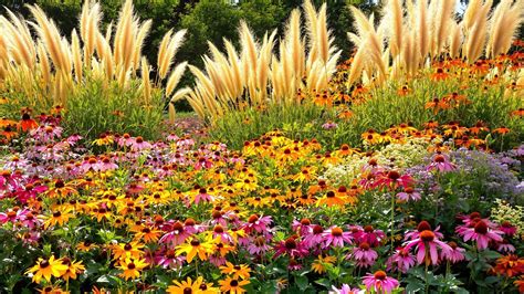 How to Combine Ornamental Grasses with Perennials - Mossy Street