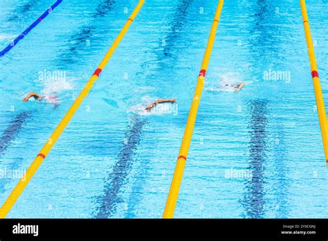 Freestyle Swimming 的图像结果