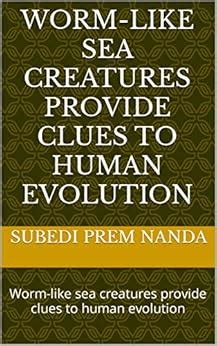 Worm-like sea creatures provide clues to human evolution: Worm-like sea ...