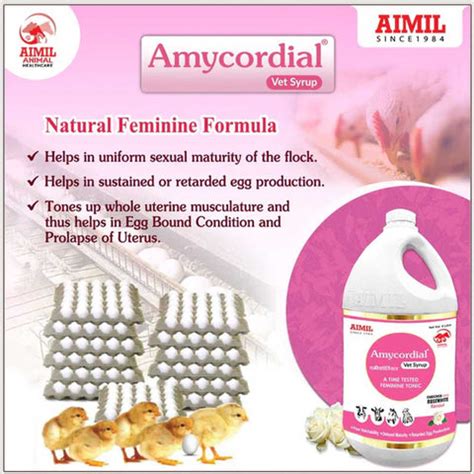 Aimil Vets life Keeps your Pets Healthy & Agile – AIMILVETS