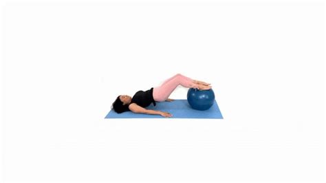 Image result for Stability Ball Back Exercises