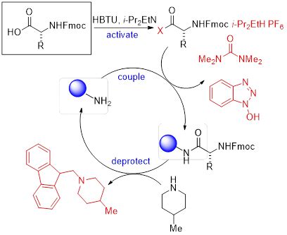 Image result for Solid Phase Synthesis