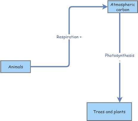 Image result for Negative Feedback Ecosystem