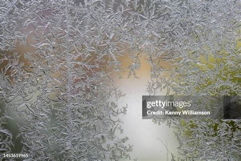 Image result for Random Texture Pyplot