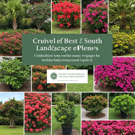 Best South Florida Landscape Plants: Stunning, Easy-Care & Thriving