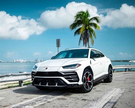 2019 Lamborghini Urus – White | MVP Miami Exotic Rentals