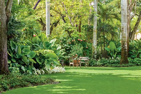 Spacious Tropical Lawn | Tropical backyard, Tropical backyard ...