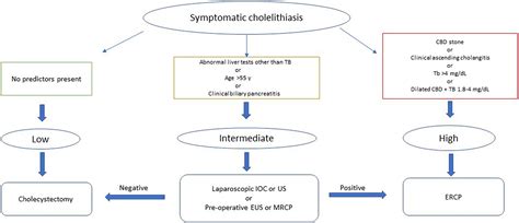 Choledocholithiasis Treatment