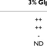 Image result for How to Test CP4