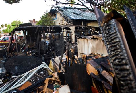 Image result for Exploding Chihuahua