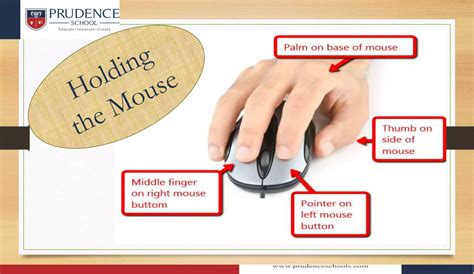 Data Entry 的图像结果