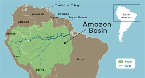 potrestat Transformátor tweet amazon river map Doufejme Boháč trouba