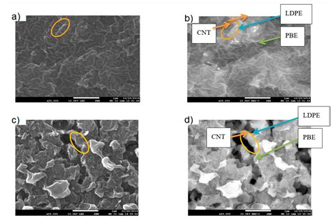 Development of Flexible and Conductive Immiscible Thermoplastic ...