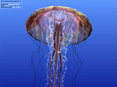 WebGL Experiments 的图像结果