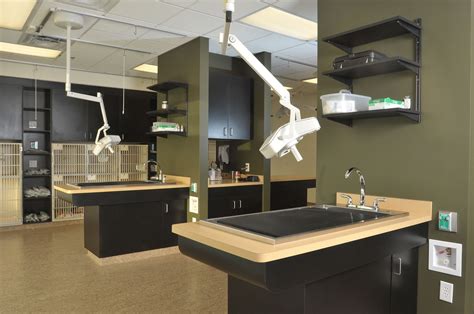 Pet Hospital East Memphis – Pets Reference