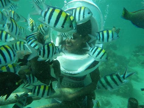 BALI PARASAILING ADVENTURES (2026) All You Need to Know BEFORE You Go ...