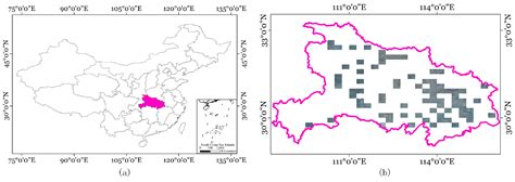 BSDSNet: Dual-Stream Feature Extraction Network Based on Segment ...