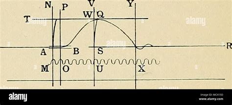 Image result for Myogram