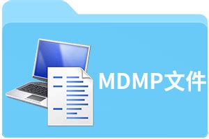 MDMP Examples 的图像结果
