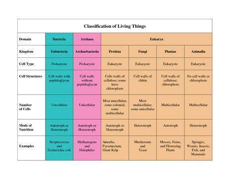 Image result for Classification of Animals Chart