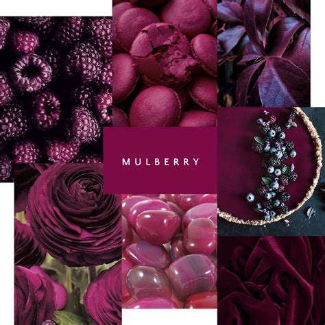 What Color Is Mulberry
