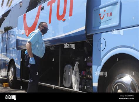 Image result for Tui Local Bus