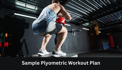 Plyometric Exercise Routine 的图像结果
