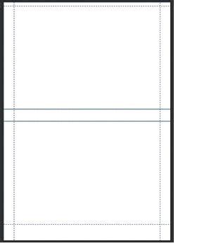 100 Ace Labels Matte White DVD Inserts Paper Size is 8.28" x 11.75" A4 ...