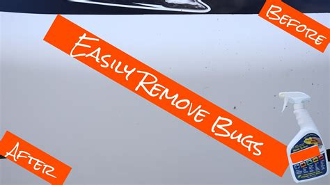 Image result for Remove Bug Shield