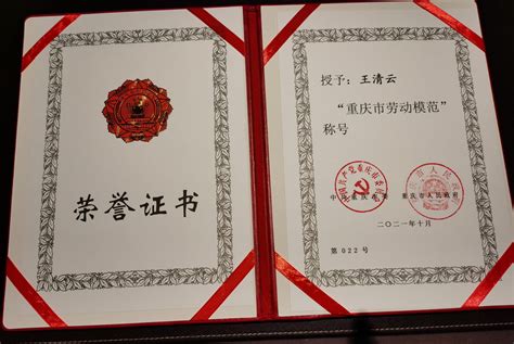 重庆市劳动就业培训中心2021年度部门决算情况说明_重庆市人力资源和社会保障局